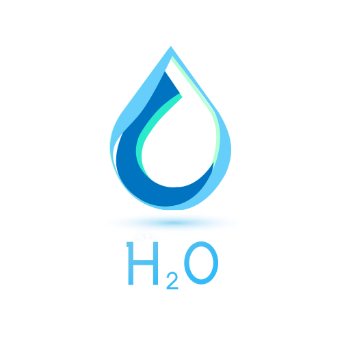 H2O DAO